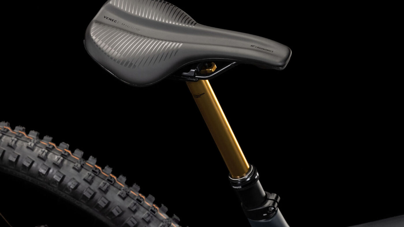 Cube Stereo Hybrid ONE44 HPC AT 800 carbon´n´gold 3