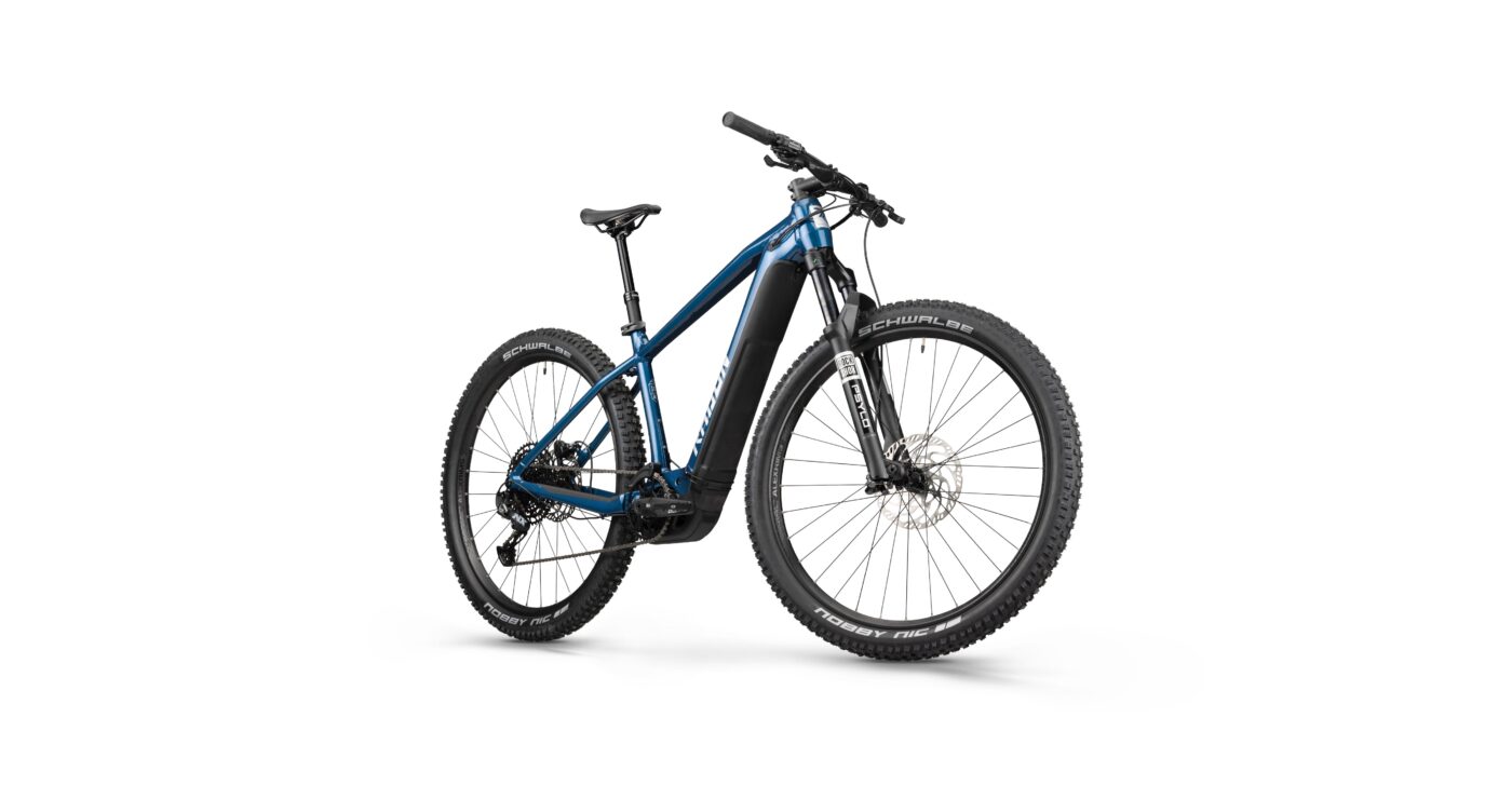 Radon JEALOUS HYBRID 9.0 750