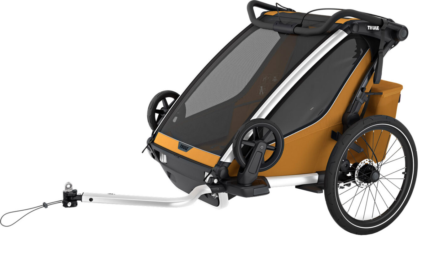10201033 Chariot Sport 2 Double natural gold 1.jpg