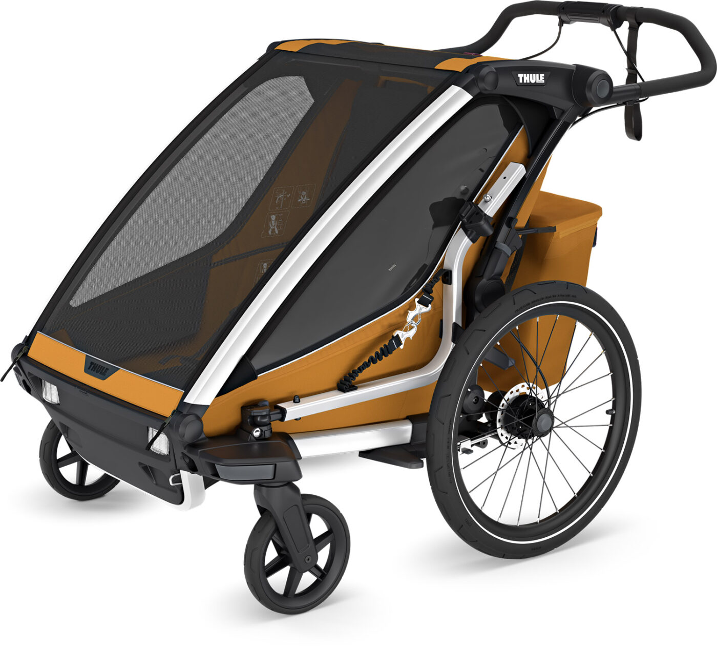 10201033 Chariot Sport 2 Double natural gold 4.jpg